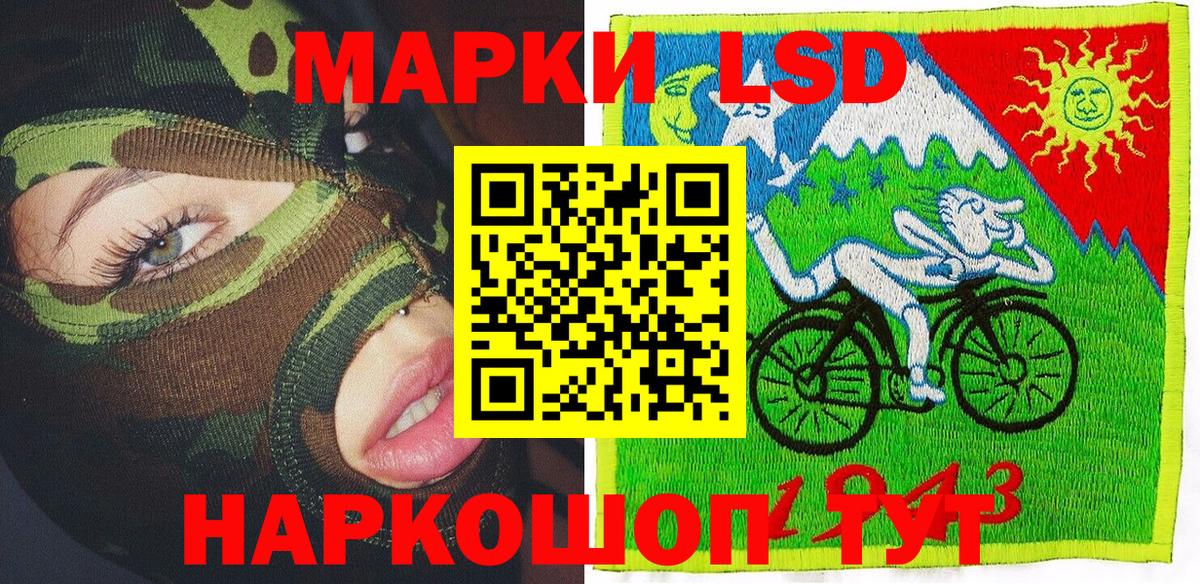A PVP Каменка