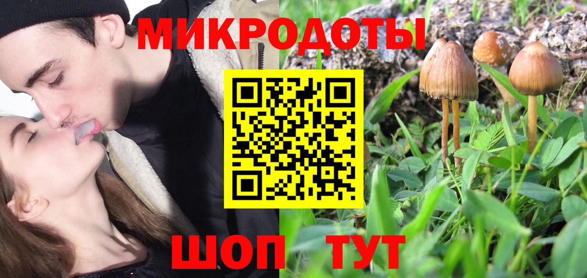 Галлюциногенные грибы прущие грибы Каменка