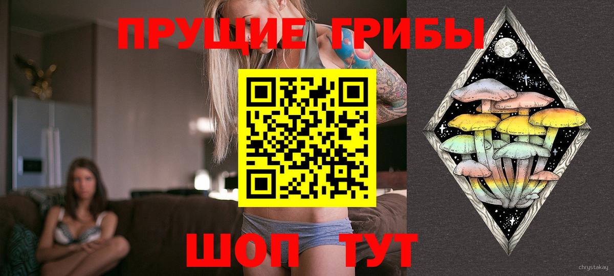 Галлюциногенные грибы Psilocybine cubensis  Псилоцибиновые грибы Magic Shrooms  Каменка  Вход с VPN 